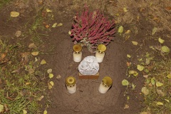 Westerwieher Karnevalsverein