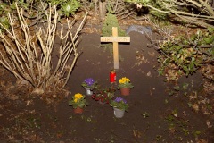 Kater ausgraben - 14.02.2025