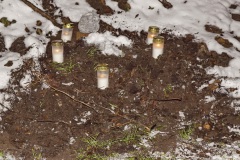 Westerwieher Karnevals Verein