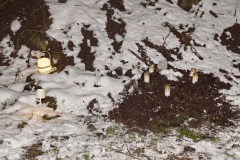 Westerwieher Karnevals Verein