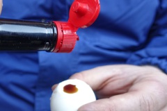 Westerwieher Karnevalsverein Westerwiehe